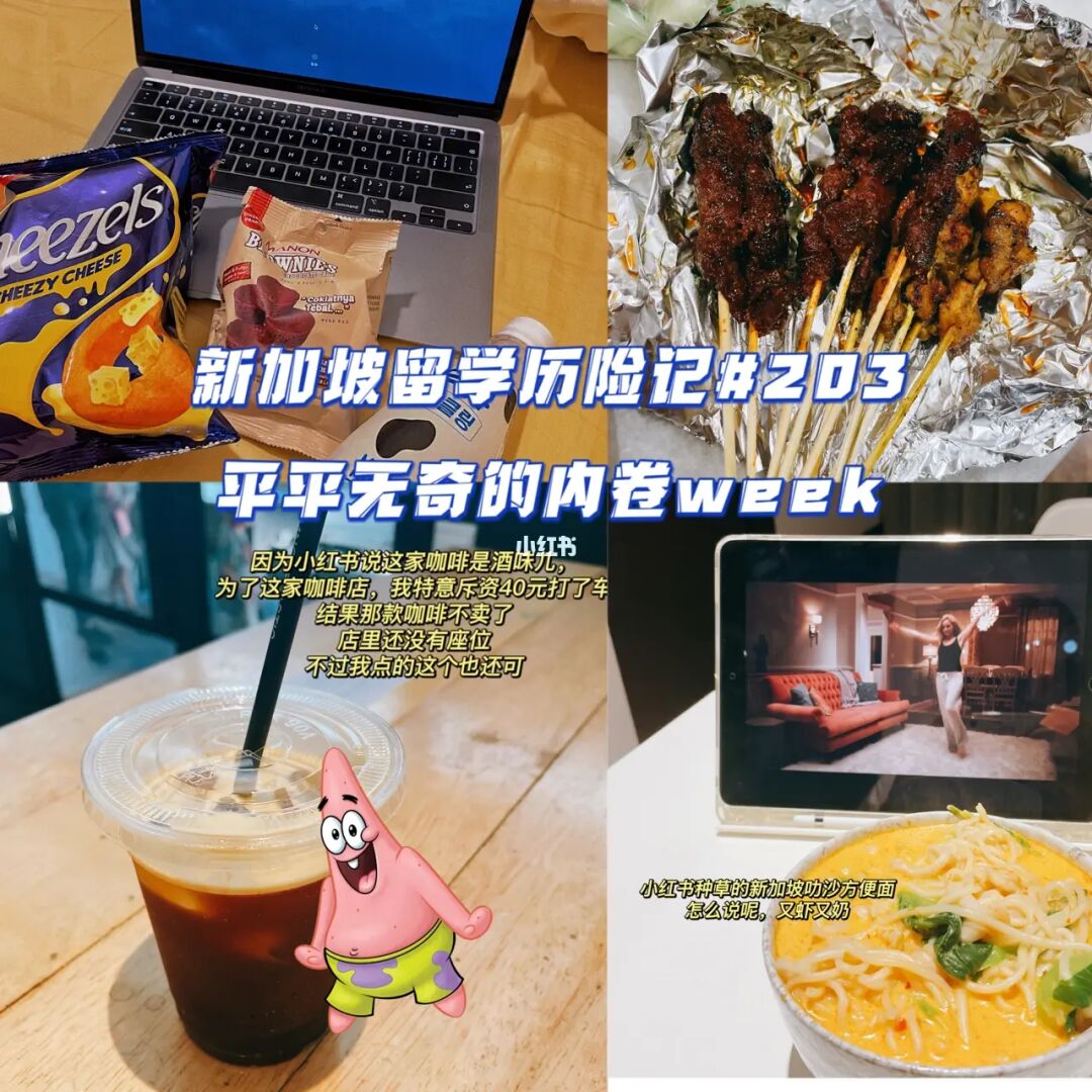 新加坡留学历险记#203|平平无奇的内卷week