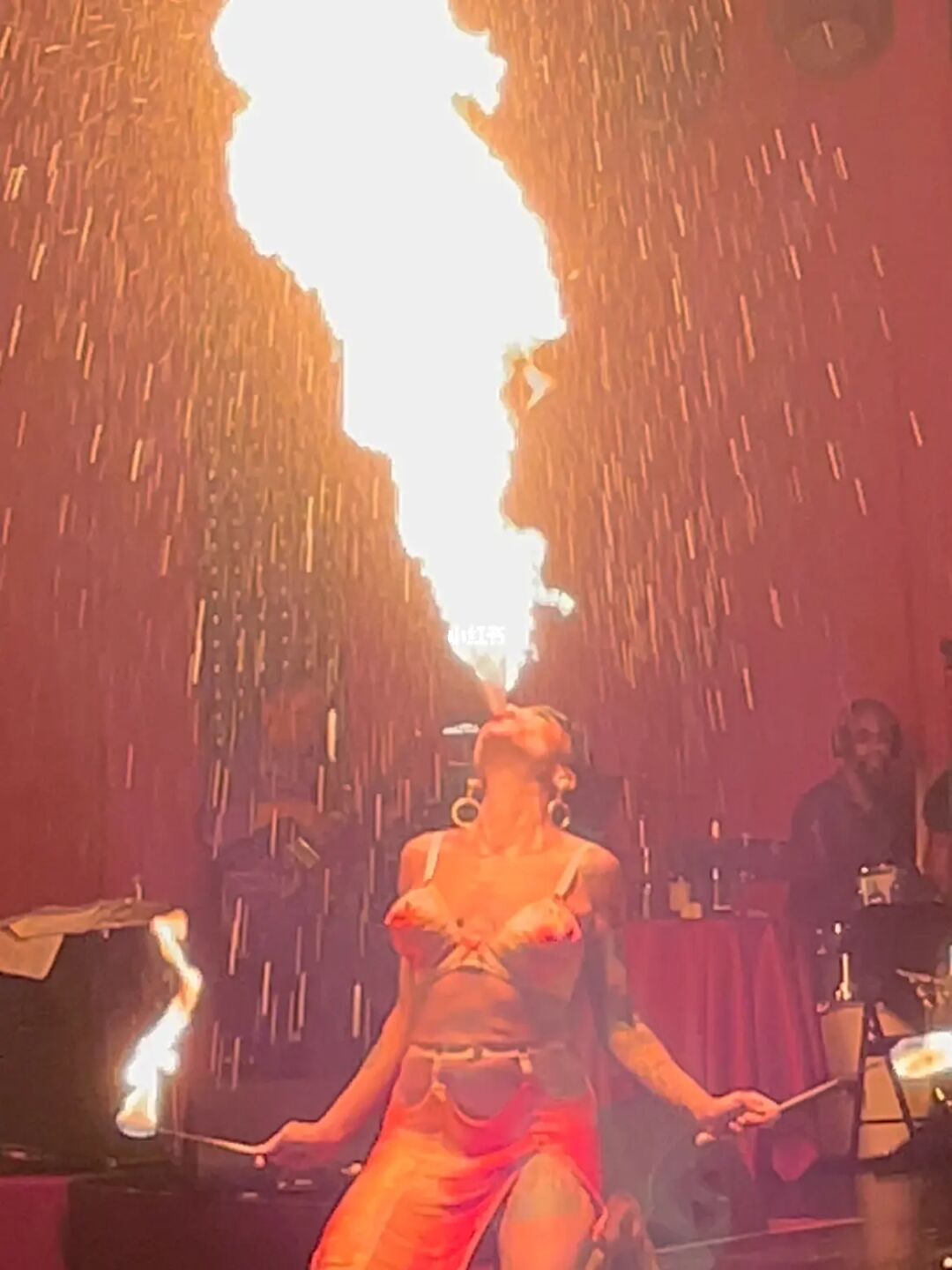 🎪 La Clique马戏团来到新加坡了！