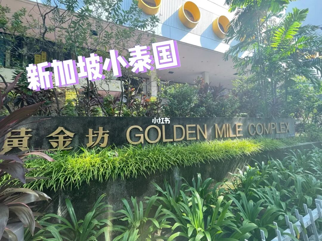 新加坡🇸🇬｜小泰国黄金坊｜打卡