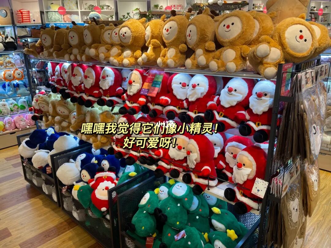 新加坡留学历险记#196 怎么和想象的不太一