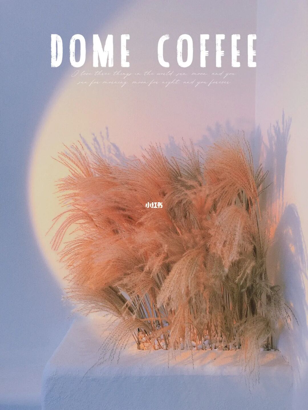 顺德探店｜DEMO实现拍照自由