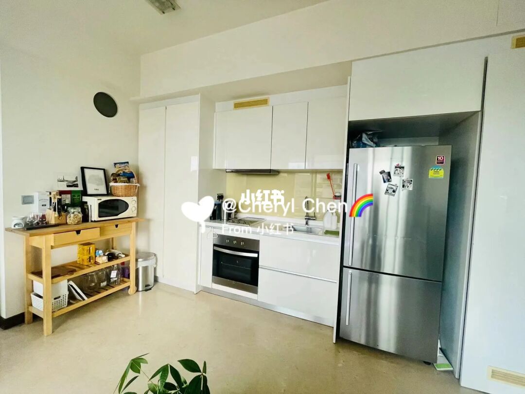 新加坡黄金地段 公寓出售｜永久地契