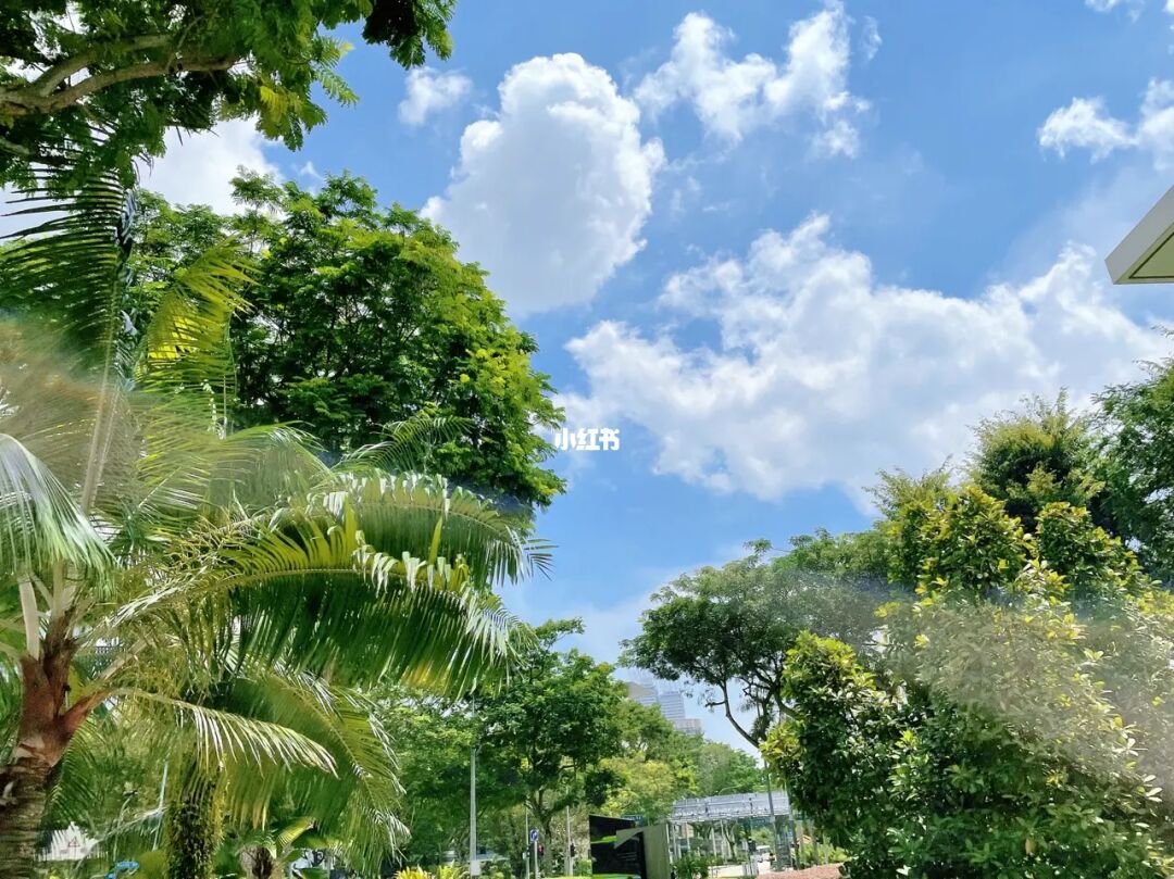 新加坡留学历险记#176 东北人在坡坡东北菜