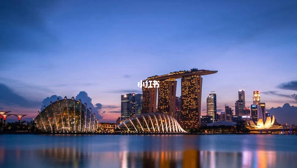 擦亮眼睛👀，在新加坡🇸🇬注册公司有多简单