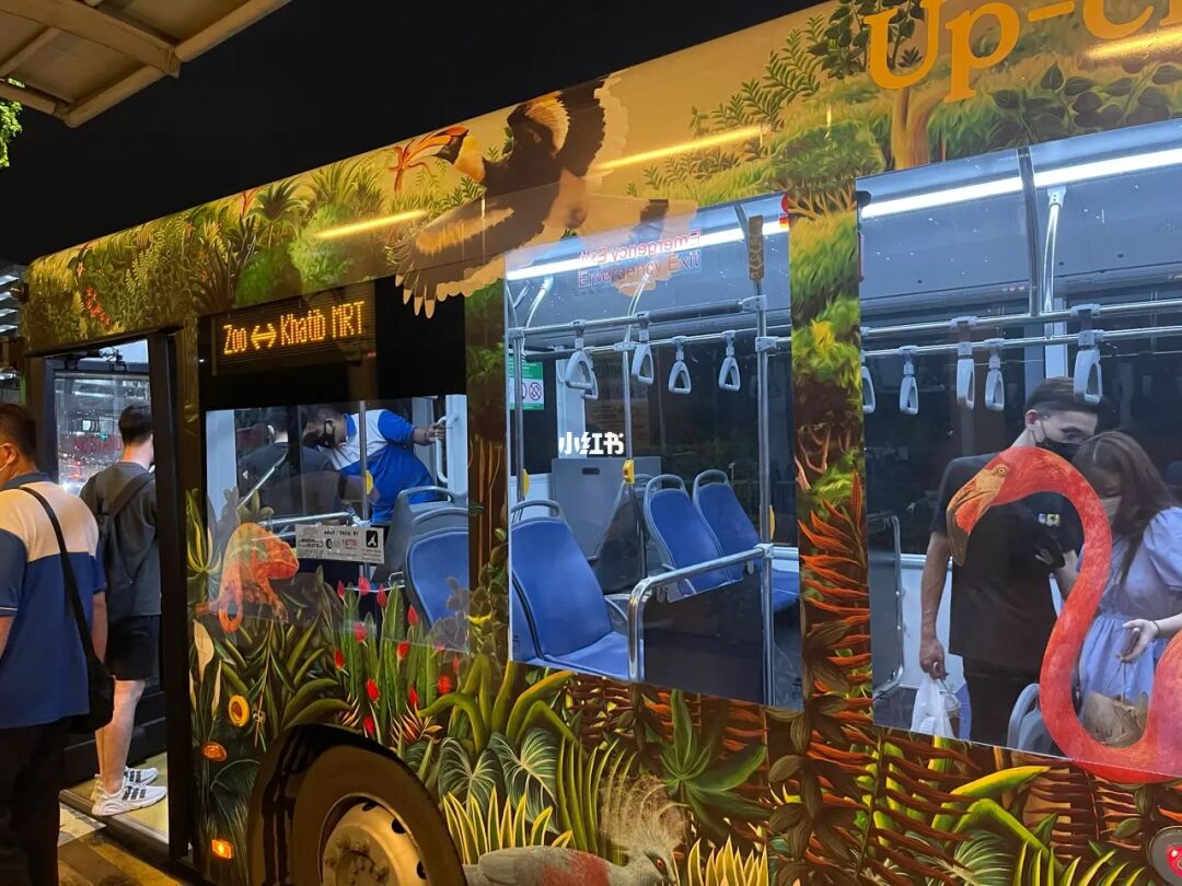 新加坡🇸🇬｜夜间动物园｜景点打卡