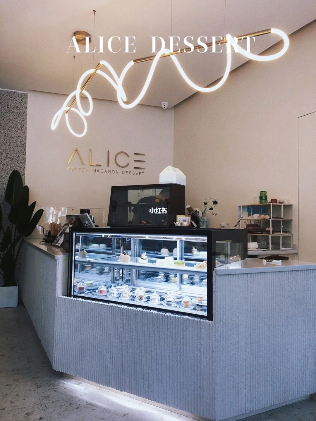 顺德探店｜吃了可以开心一整天的蛋糕店