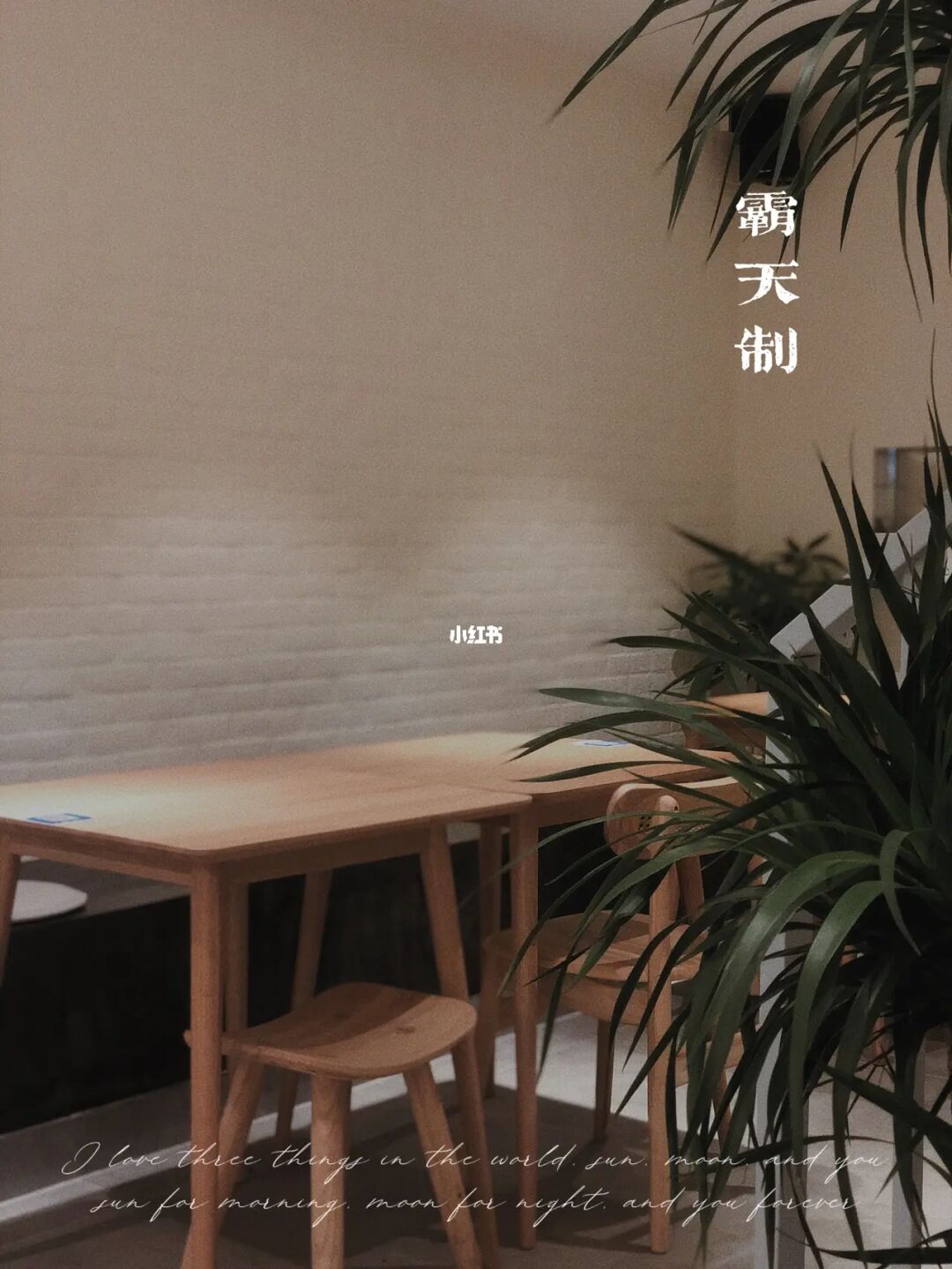 顺德探店｜霸气支吹“茅台”