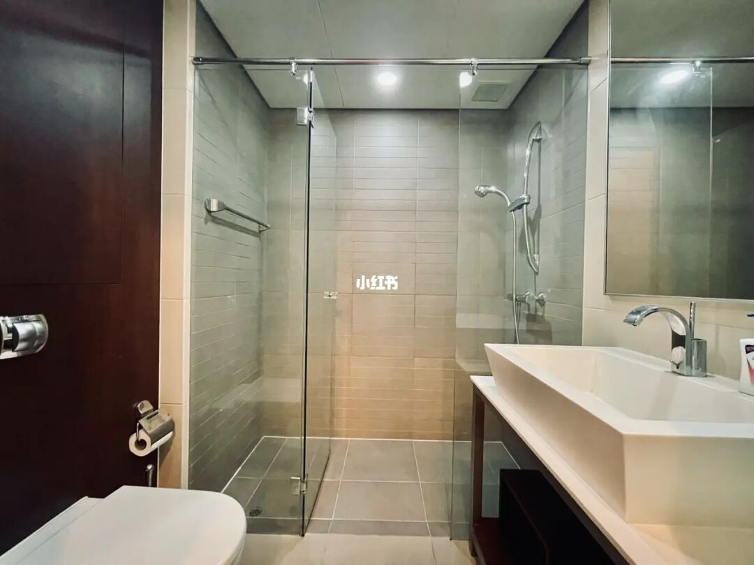 新加坡中央商务区“华尔街”景观，公寓出租