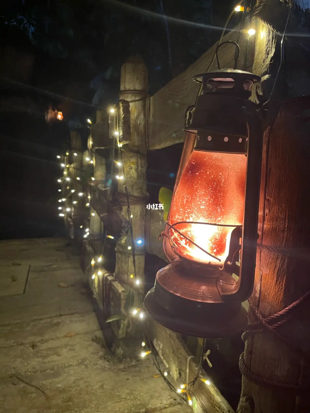 新加坡🇸🇬｜夜间动物园｜景点打卡