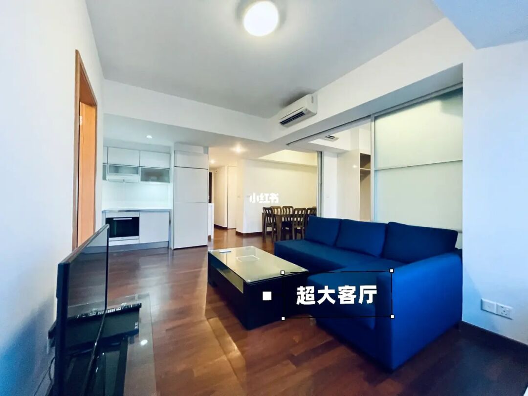 新加坡中央商务区“华尔街”景观，公寓出租