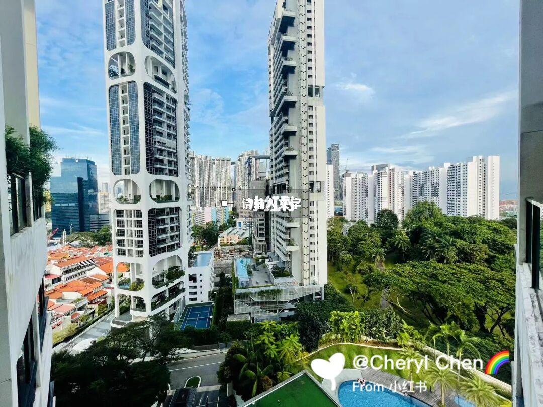 新加坡黄金地段 公寓出售｜永久地契